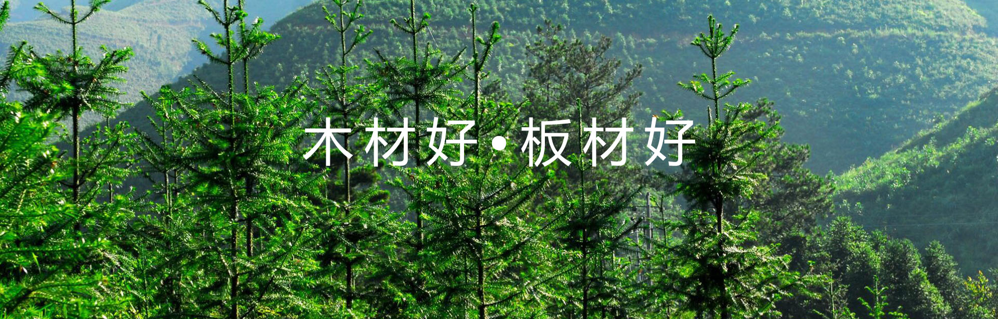 竞技宝平台